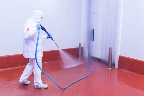 Best Building Exterior Washing  in Mcrae Helena, GA